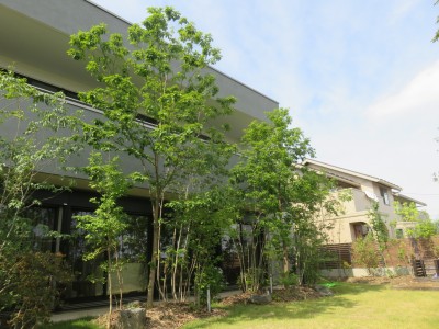 伊勢崎市M宅3 2IMG_5027