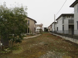 IMG_1855 IMG_1855
