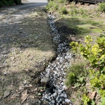 IMG_8345 (1) IMG_8345-1