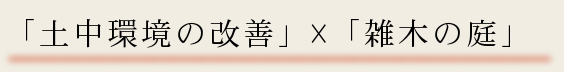 土中環境改善×雑木の庭