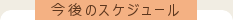 今後のスケジュール