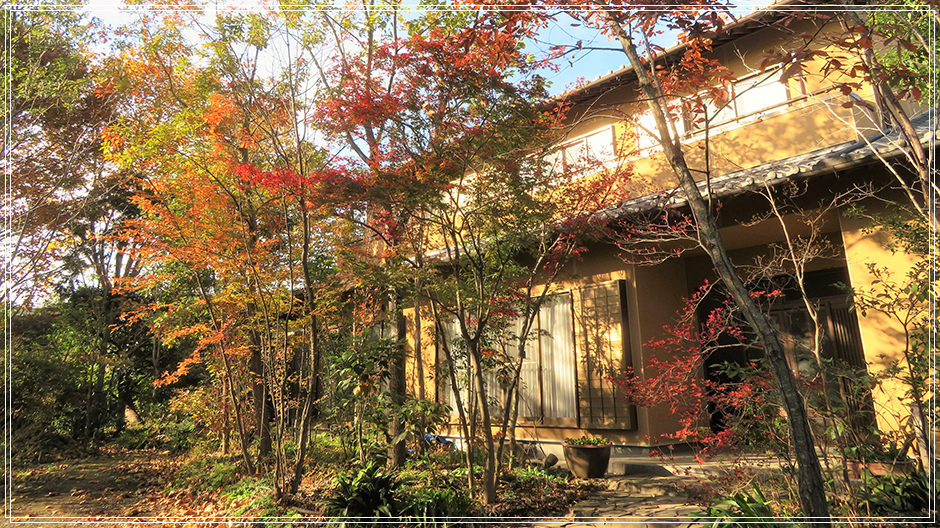 top_header04_180226